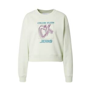 Calvin Klein Jeans Mikina 'Relaxed'  mätová / nefritová / fialová