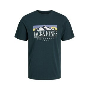 JACK & JONES Tričko 'WALTER'  svetložltá / jedľová / svetlofialová / biela
