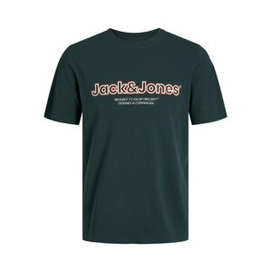 JACK & JONES Tričko 'LAKEWOOD'  smaragdová / marhuľová / čierna / biela