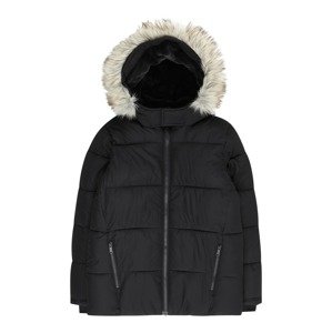 Abercrombie & Fitch Zimná bunda  béžová / čierna
