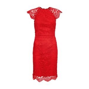 Chi Chi London Kokteilové šaty  červená