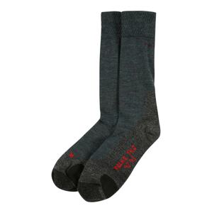 FALKE Športové ponožky  sivá melírovaná / petrolejová / čierna