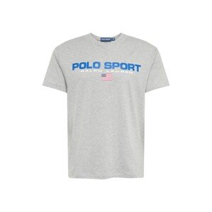 Polo Ralph Lauren T-Shirt  sivá / nebesky modrá / biela
