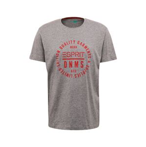 ESPRIT Shirt 'SG-990EE2K305'  sivá