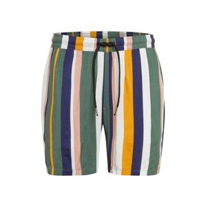 Redefined Rebel Nohavice 'RRRick Shorts'  zelená / žltá / biela