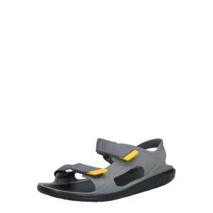 Crocs Trekingové sandále 'Swiftwater'  žltá / sivá