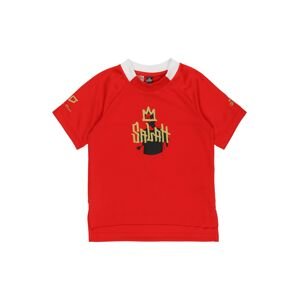 ADIDAS PERFORMANCE Funkčné tričko  zlatá / červená / čierna