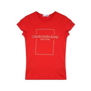 Calvin Klein Jeans Tričko  červená / svetlosivá / čierna