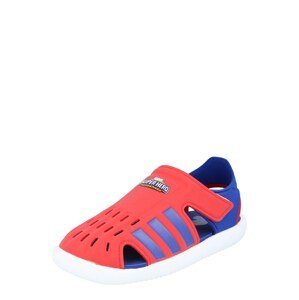 ADIDAS PERFORMANCE Plážové / kúpacie topánky  červená / kráľovská modrá