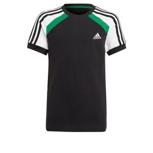 ADIDAS PERFORMANCE Funkčné tričko  čierna / biela / zelená
