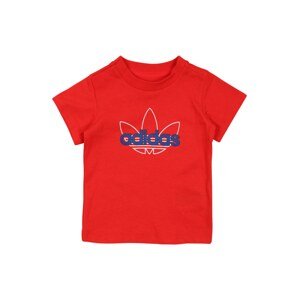 ADIDAS ORIGINALS T-Shirt  červená / biela / modrá