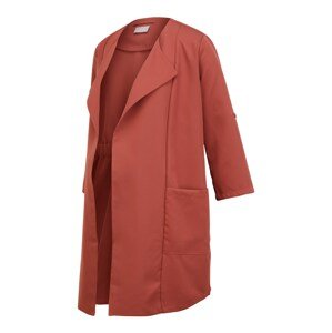 MAMALICIOUS Prechodný kabát 'PCMPAIGE'  červená
