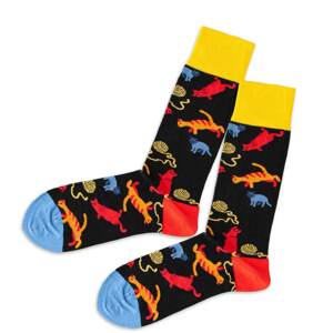 DillySocks Ponožky  červená / modrá / žltá