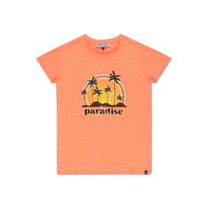 Cars Jeans T-Shirt 'Zephira'  oranžová melírovaná / zmiešané farby