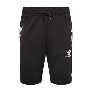 Hummel Športové nohavice 'Ray 2.0'  čierna / biela
