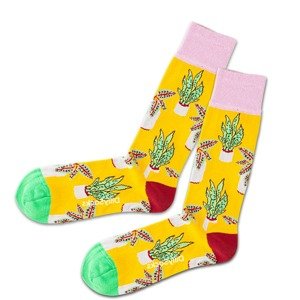 DillySocks Ponožky 'Beach Pottery'  zlatá žltá / svetlofialová / biela / svetlozelená / pueblo