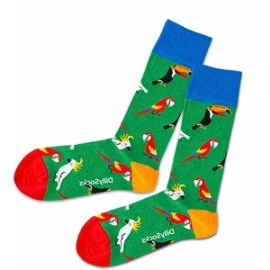 DillySocks Ponožky  trávovo zelená / modrá / červená / oranžová / biela