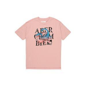 Abercrombie & Fitch Tričko 'CHASE STREET'  ružová / čierna / modrá