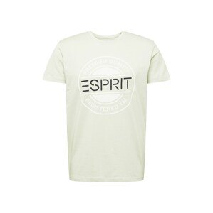 ESPRIT Tričko  pastelovo zelená / biela / čierna