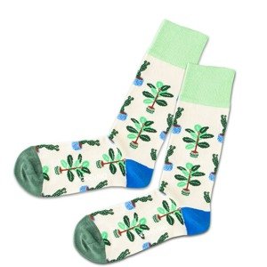 DillySocks Ponožky 'Cream Plants'  krémová / svetlozelená / zelená / modrá / hnedá