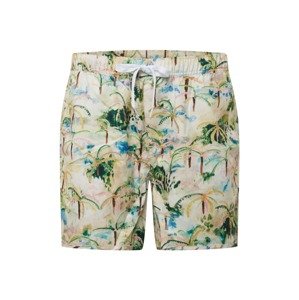 DEDICATED. Plavecké šortky 'Sandhamn Tropics'  béžová / zelená / ružová / svetlomodrá