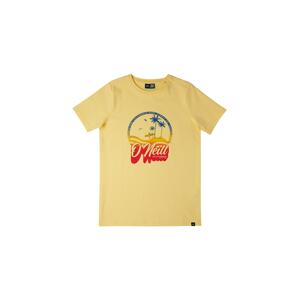 O'NEILL Tričko 'Gradient Vintage'  žltá / modrá / zlatá žltá / červená