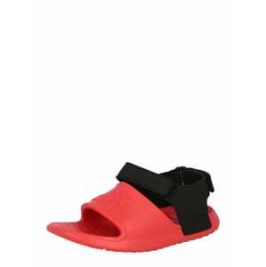 PUMA Otvorená obuv 'Divecat'  čierna / svetločervená