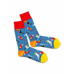 DillySocks Ponožky 'Lake Aviary'  zmiešané farby / dymovo modrá / červená / žltá / biela