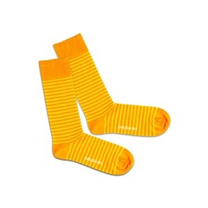 DillySocks Ponožky 'Sun Ring'  zlatá žltá / biela / oranžová
