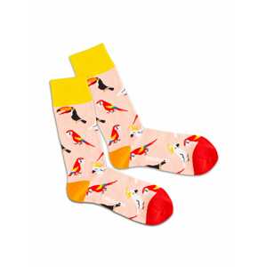 DillySocks Ponožky  zmiešané farby / púdrová / červená / žltá / oranžová