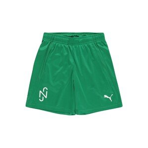 PUMA Športové nohavice 'Neymar Jr'  biela / trávovo zelená