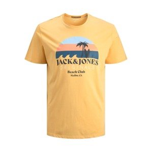 Jack & Jones Plus T-Shirt 'Cabana'  šafránová / svetlomodrá / mandarínková / námornícka modrá / biela