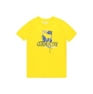 Abercrombie & Fitch Tričko  žltá / modrá / biela