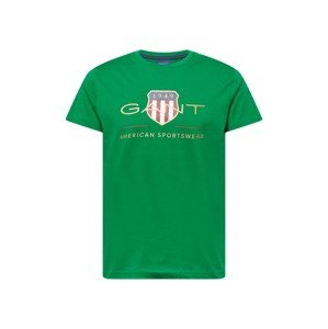GANT Tričko  zelená / zmiešané farby