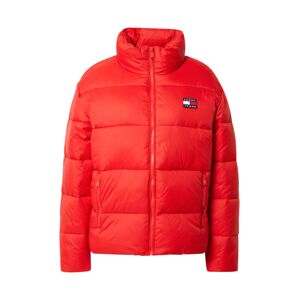Tommy Jeans Zimná bunda  modrá / červená / svetločervená / biela