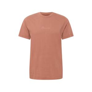 Abercrombie & Fitch T-Shirt  hrdzavohnedá / marhuľová