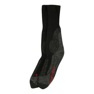 FALKE Športové ponožky 'TK1'  čierna