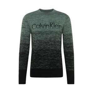 Calvin Klein Pullover  čierna / pastelovo zelená