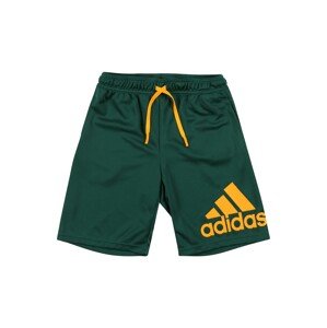 ADIDAS PERFORMANCE Športové nohavice  zelená / zlatá žltá