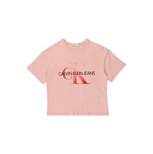 Calvin Klein Jeans Tričko  ružová / čierna / tmavooranžová