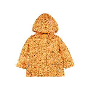 Reima Zimná bunda  oranžová / zmiešané farby