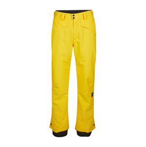 O'NEILL Športové nohavice  zmiešané farby