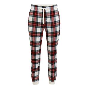 Abercrombie & Fitch Pyžamové nohavice  šedobiela / červená / zelená / žltá