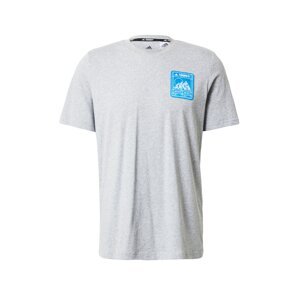 adidas Terrex T-Shirt  sivá / nebesky modrá / biela
