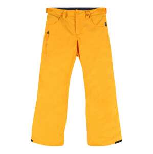 BURTON Športové nohavice 'Barnstorm'  zlatá žltá / tmavomodrá