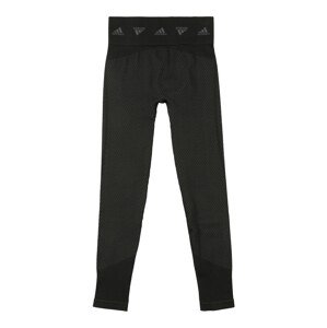 ADIDAS PERFORMANCE Funkčné nohavice  čierna / sivá