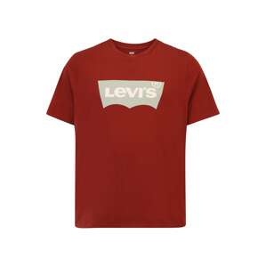 Levi's® Big & Tall Tričko  svetlosivá / hrdzavo červená / biela