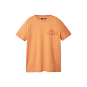 Desigual T-Shirt 'BARUCH'  oranžová / červená