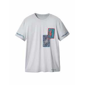 Desigual T-Shirt 'MATEO'  šedobiela / zmiešané farby