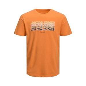 JACK & JONES Tričko 'Brady'  oranžová / karí / sivobéžová / olivová / antracitová